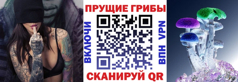 Галлюциногенные грибы Psilocybine cubensis Фатеж